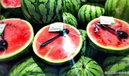 西瓜比赛吃瓜技巧