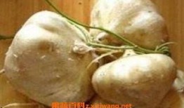 梦见自己吃生土瓜,揭秘生土瓜的神秘寓意