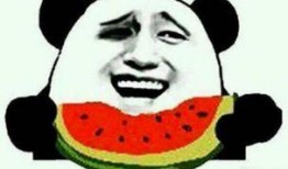 吃瓜师傅创作原声,瓜界风云录