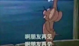 小虎吃瓜亲戚,揭秘亲戚间的那些事