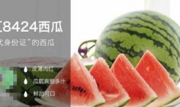 工程吃瓜,揭秘建筑行业背后的趣味故事