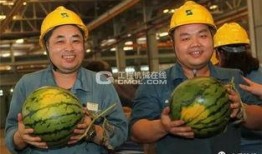 工程吃瓜,揭秘建筑行业背后的趣味故事