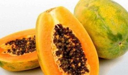 梦到吃黑瓜,揭秘黑瓜的神秘寓意