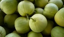 怀孕两个月梦见吃田瓜,两个月孕妈的田瓜奇梦启示