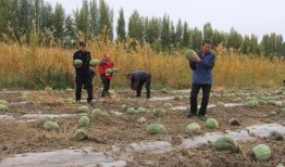 吃瓜群众燕京理工,揭秘校园生活与学术风采