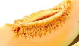 吃蜜瓜嘴出血,吃瓜嘴出血的尴尬体验