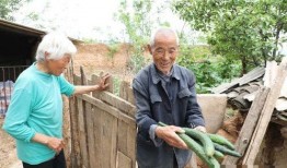 吃瓜老村长,揭秘乡村生活的酸甜苦辣