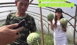 天真吃瓜群众直播,天真吃瓜群众带你领略直播界的欢乐与疯狂