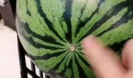 到了吃瓜的季节,畅享清凉吃瓜季