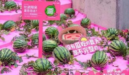 b站吃瓜,一场网络狂欢背后的真相