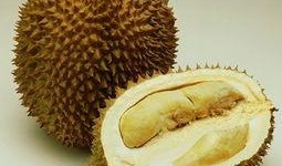 酥瓜孕妇可以吃吗,安全与营养两不误