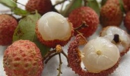 胖子吃瓜瘦子吃瓜,胖子瘦子同享吃瓜乐趣