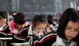 音乐老师吃瓜了